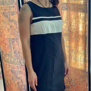 Navy and White shift dress